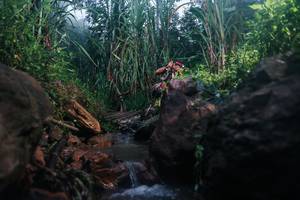 BIB: 
                            <button type="button" onclick="openModal(26422662)" class="btn btn-primary btn-sm float-right btn-popup" data-toggle="modal" data-target=".modal-high-quality">
                        <i class="fas fa-shopping-cart"></i> Add to Cart
                    </button>
                                            <button type="button" onclick="isThisMe(26422662, true)" class="btn btn-success btn-sm float-right btn-popup btn-isme hidden" data-toggle="tooltip" data-placement="bottom" title="นี่คือรูปของคุณใช่ไหม คลิกที่นี่เพื่อเอาเข้าอัลบั้ม">
                        <i class="fas fa-plus"></i> Add to album
                    </button>
                    <button type="button" onclick="isThisMe(26422662, false)" class="btn btn-warning btn-sm float-right btn-popup btn-isnotme hidden">
                        <i class="fas fa-ban"></i> Remove from album
                    </button>